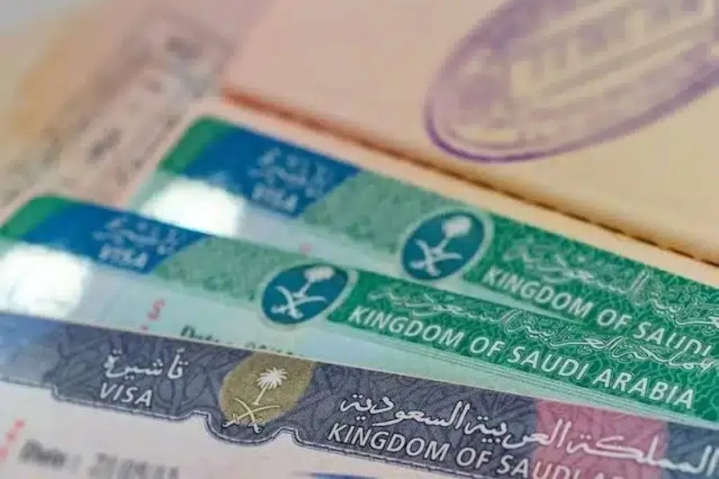 Saudi Arabia to Provide Visa Facility for Pakistani IT Companies