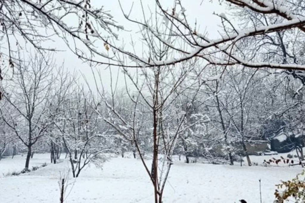 Chitral Gets Season First Snowfall