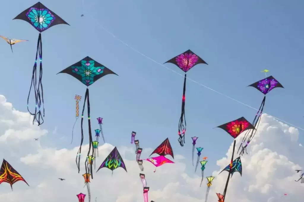 Karachi cracks down on kite flying with two-month ban