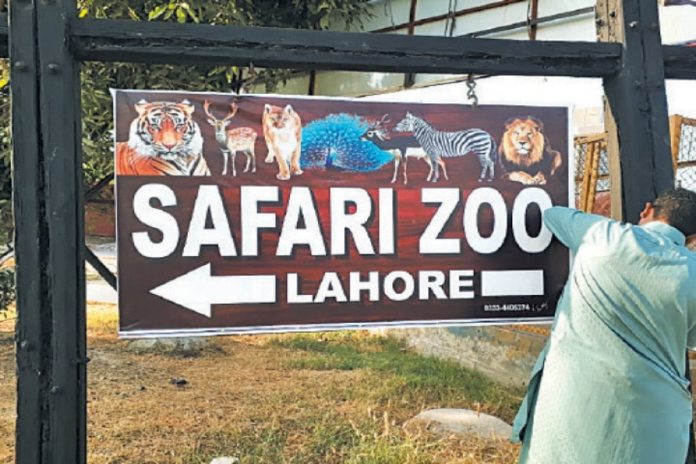 Government shuts down Lahore Safari Zoo for 15 days