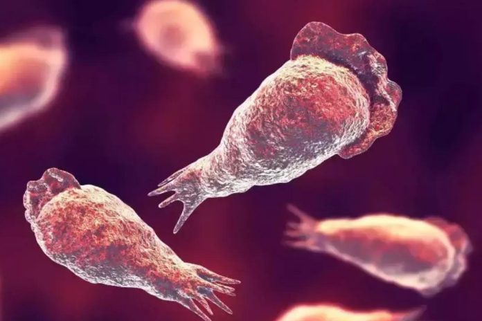 Karachi confirms first death from deadly Naegleria Amoeba in 2025