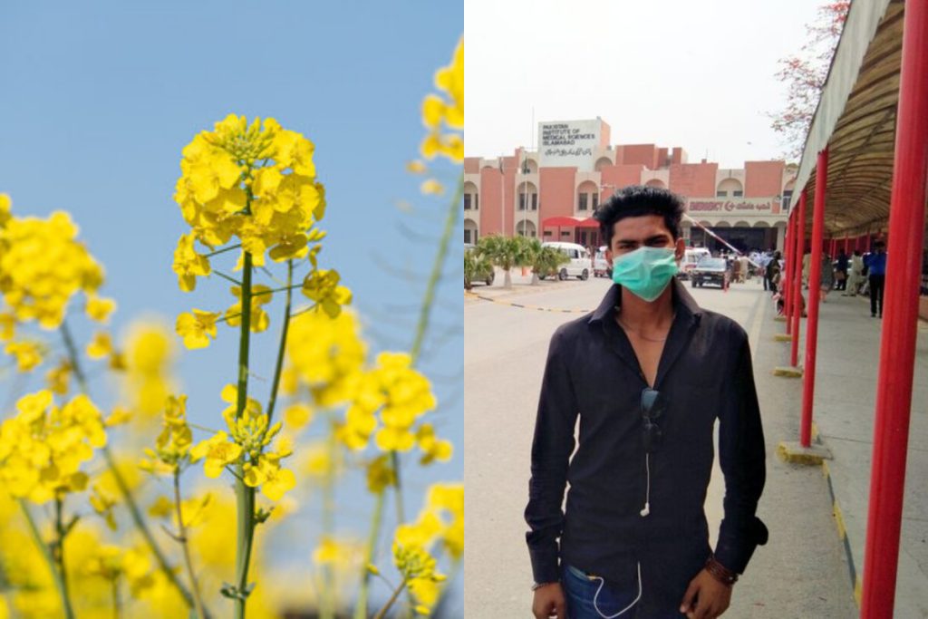 Islamabad faces rise in pollen allergy cases