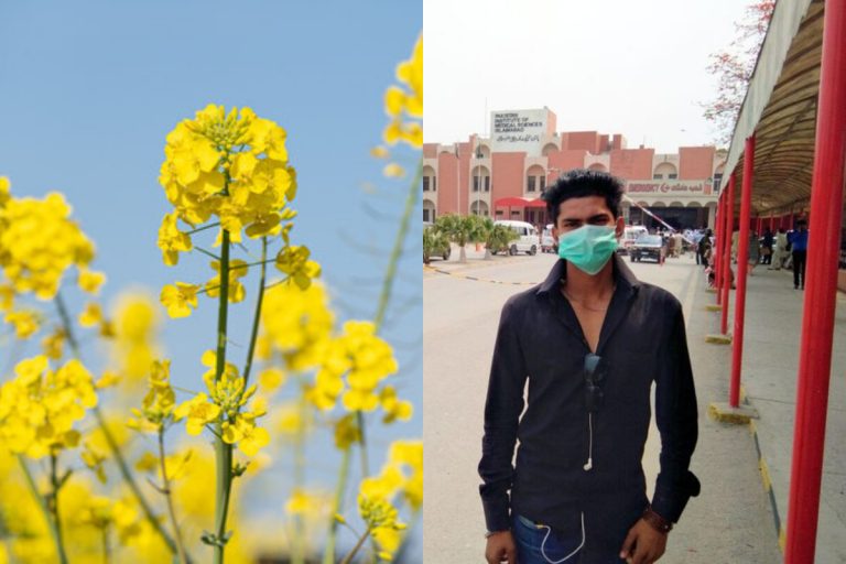Islamabad faces rise in pollen allergy cases
