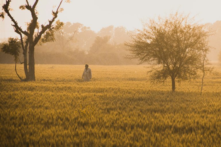 Punjab weather update: Light rain expected, heatwave continues