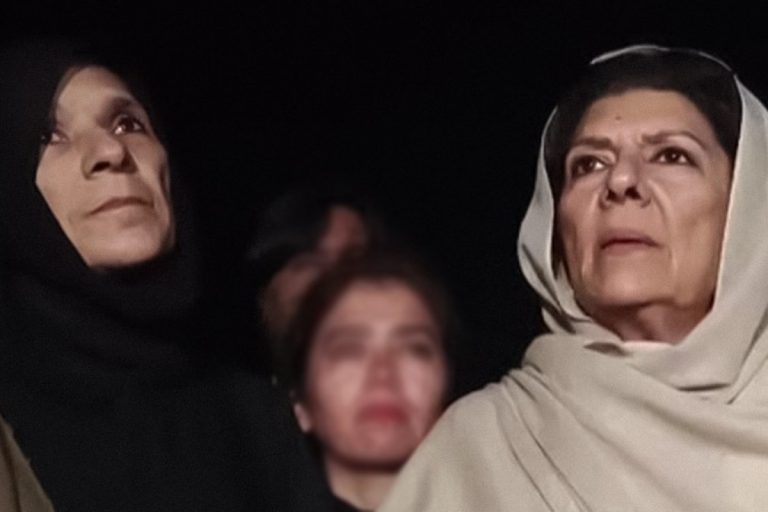PTI leaders, Imran Khan’s sisters released after brief detention at Adiala jail
