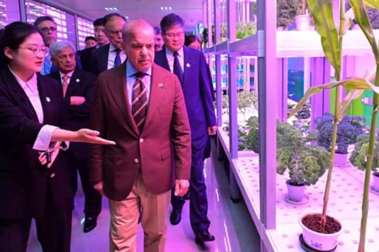 Pakistan to send 300 students to china for agricultural training
