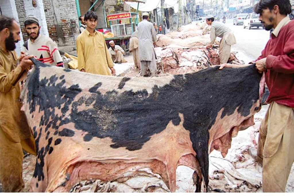 Punjab issues Eidul Azha advisory on offal disposal