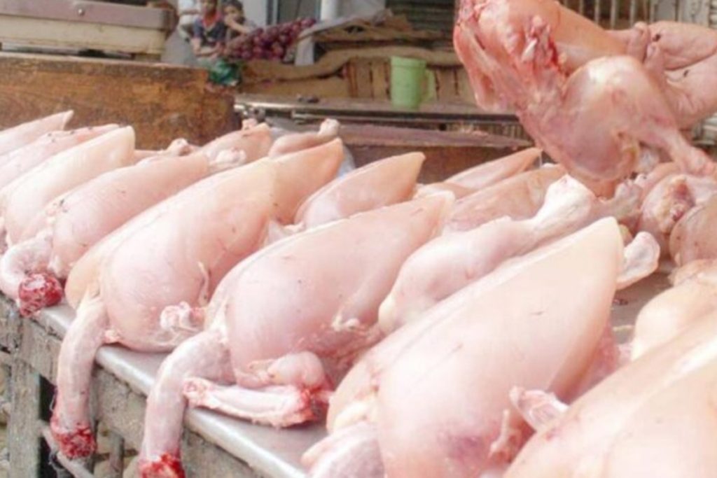 Chicken rates decline in Peshawar