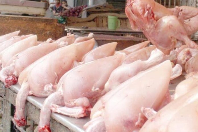 Chicken rates decline in Peshawar