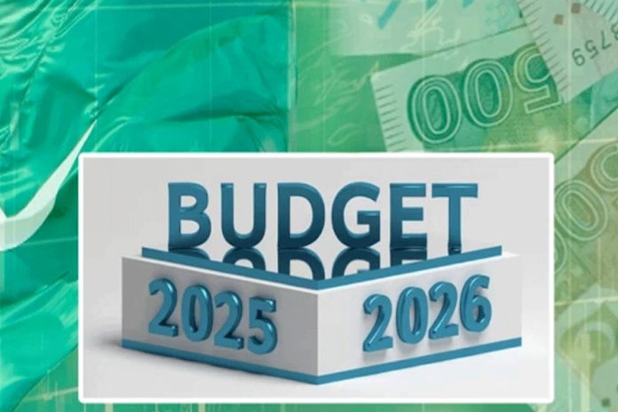 Income tax relief announced for salaried class in budget 2025–26