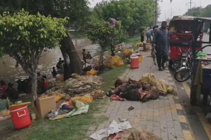 WSSP disposes of 9,500 tonnes of waste during Eid cleanup