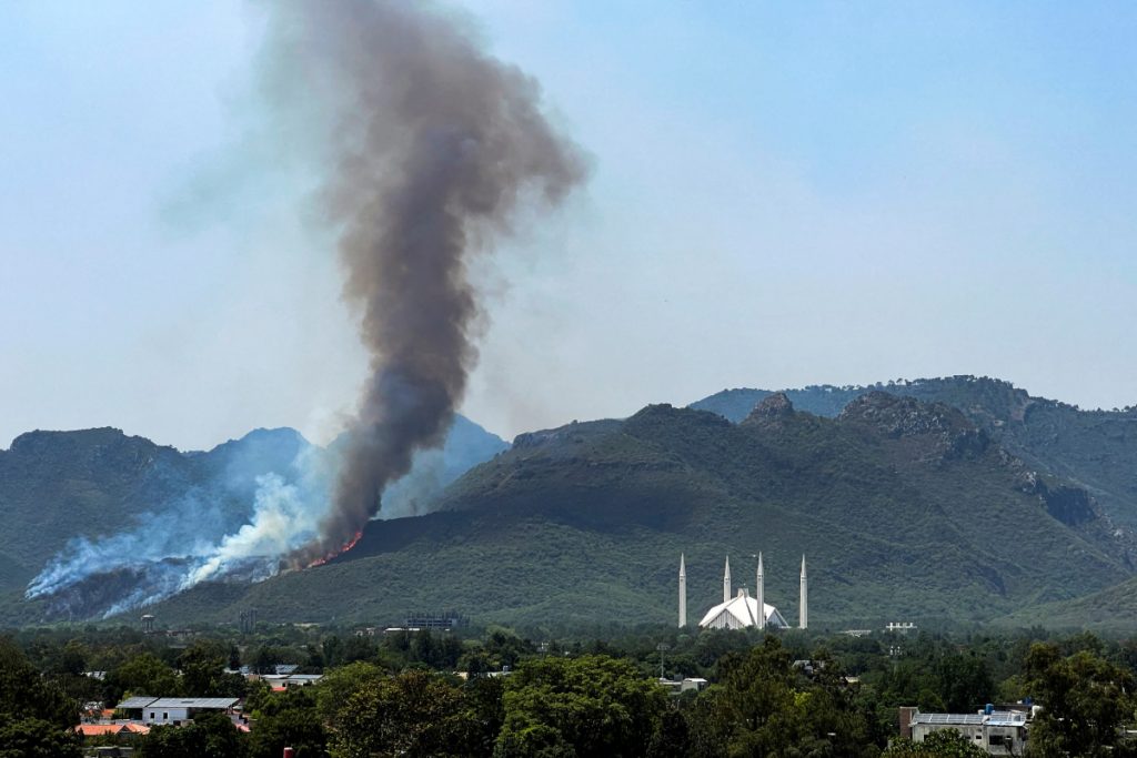 Forest fires rise in Punjab amid intense heat