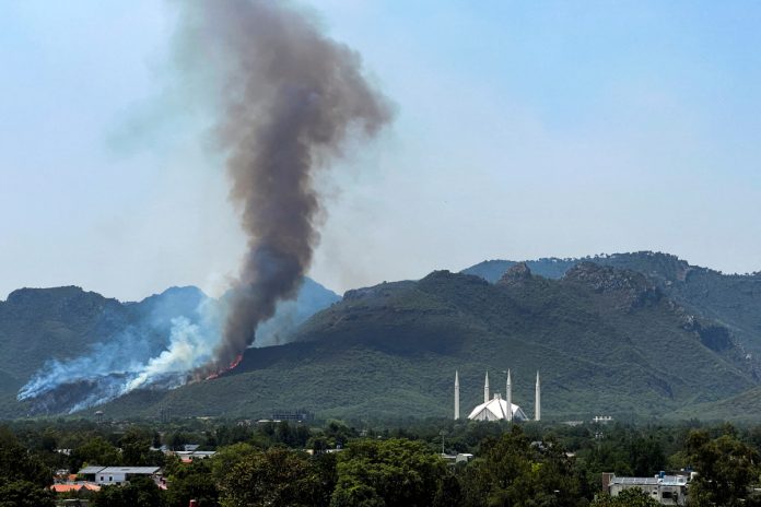 Forest fires rise in Punjab amid intense heat