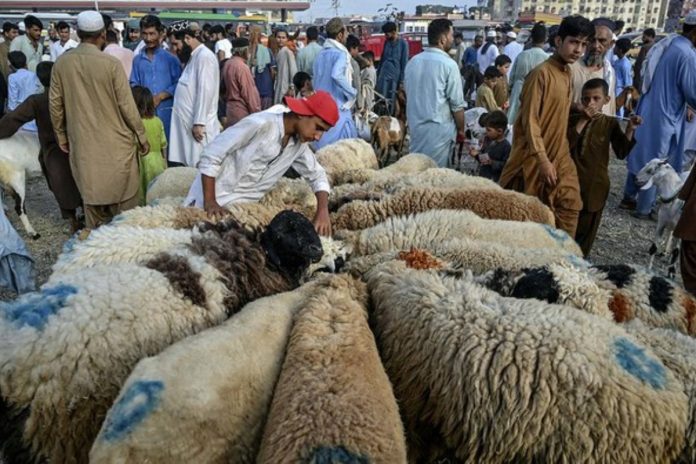 Eid celebrations continue as nation observes second day of Eid ul-Azha