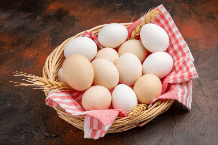 Egg price in pakistan