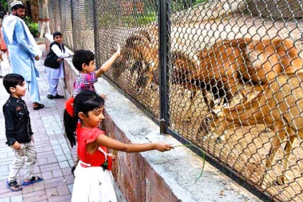 Lahore Zoo offers big discounts on tickets to attract families