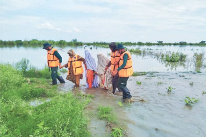Rains leave 135 dead, 479 injured in Punjab: PDMA
