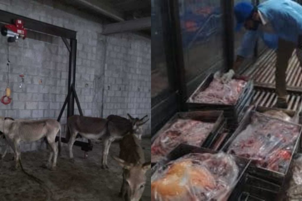 Viral list of restaurants serving donkey meat in Islamabad is fake