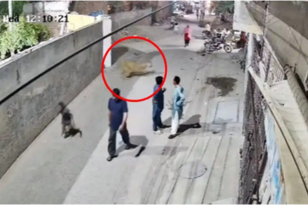 Lion owner arrested after attack in Lahore