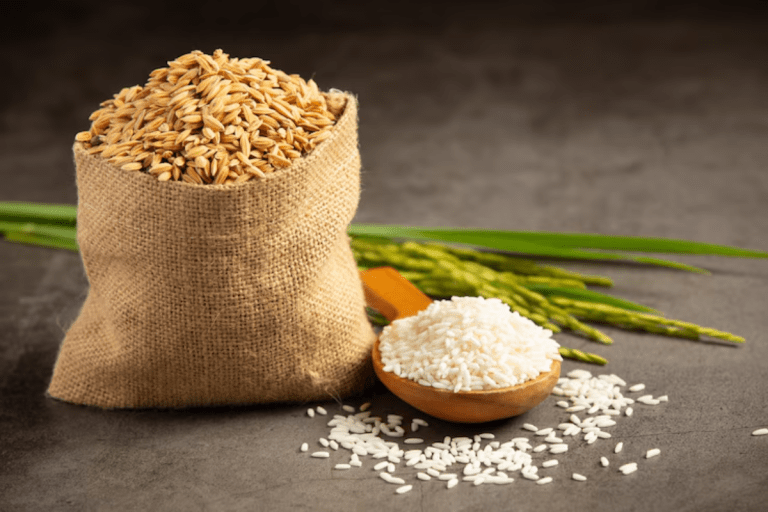 Rice price in pakistan