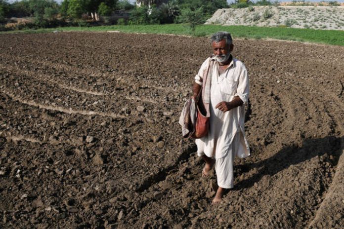 Govt plans easy loans to support small farmers