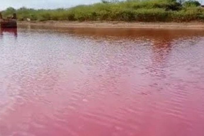 NIMA warns of health risks over toxic pink waters at Gadani jetty