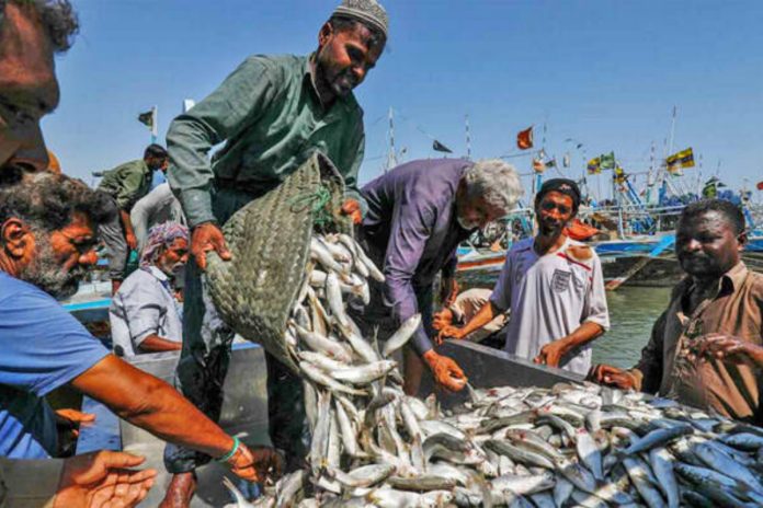 Pakistan gets long-term approval to export seafood to US