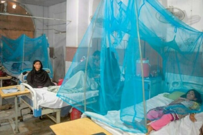 Dengue cases rise to 90 in K-P after recent rains