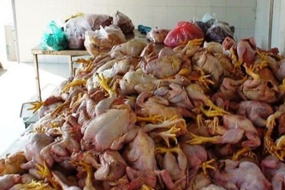 Police seize 80kg of dead chicken meat in Karachi