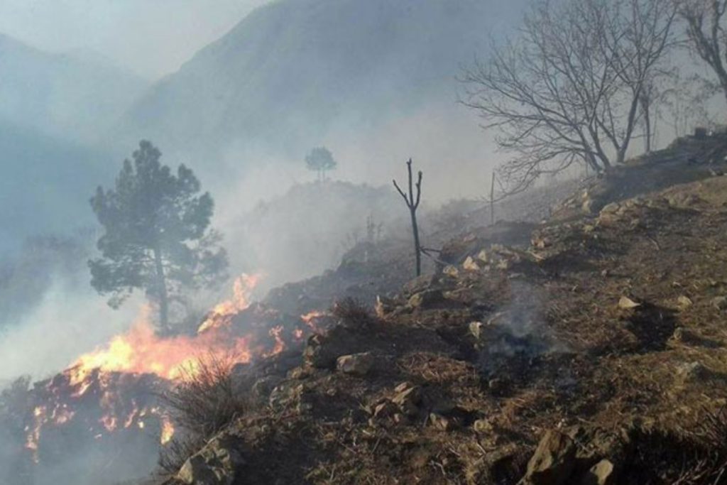 Huge forest fire devastates Abbottabad’s Dongagali area in Galiyat