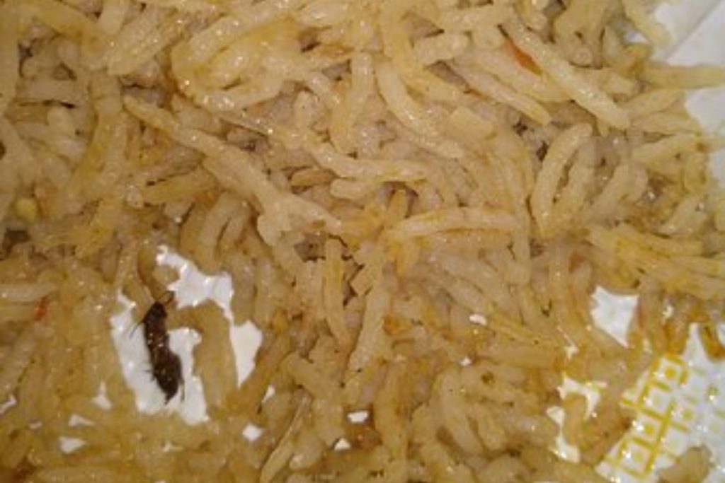 Cockroach found in PPP Senator’s plate during Senate meeting