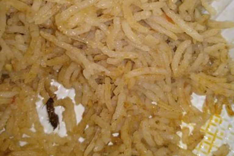 Cockroach found in PPP Senator’s plate during Senate meeting