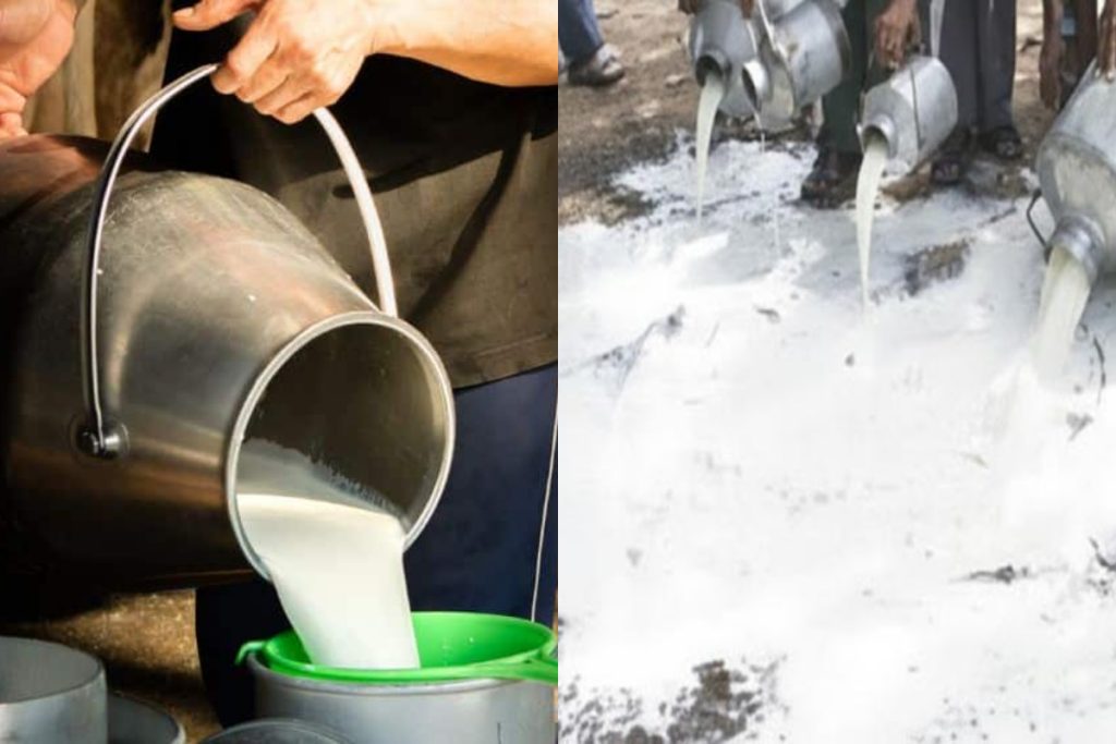 Authorities seize 2000 litres of fake milk in Lahore crackdown