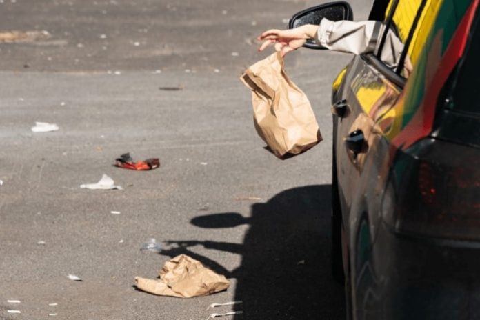 Punjab govt to impose fines for littering in public spaces