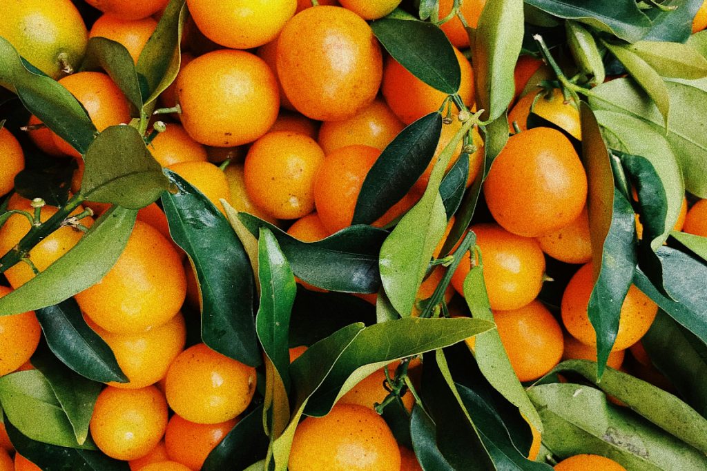 Pakistan targets 300,000 tonnes of orange exports after record harvest