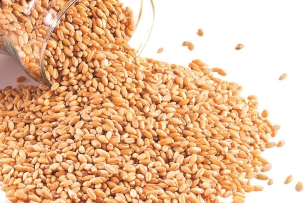 Government to auction 500,000 tons of Passco wheat stocks