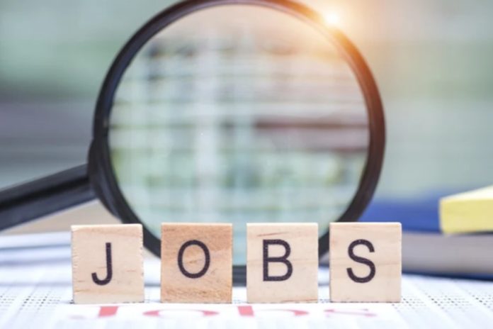 Pakistan Embassy vacancies April 2026: Details inside