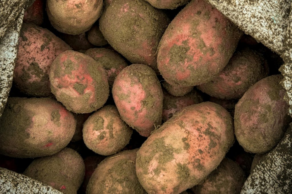 Russia approves import of Pakistani potatoes