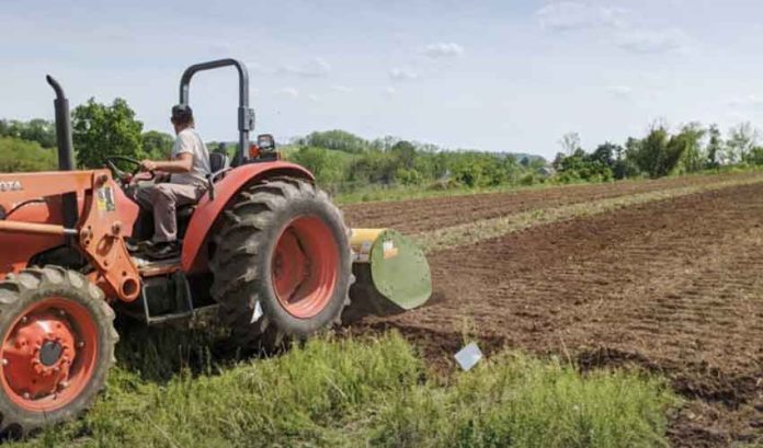 Punjab govt announces Rs150 per liter fuel subsidy for farmers
