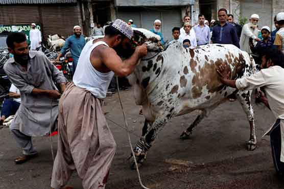 Sindh govt announces Eid ul-Adha 2026 holidays