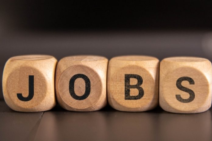 Punjab govt announces multiple job openings