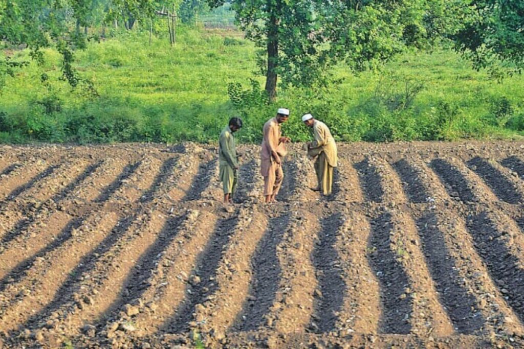 Punjab issues Kissan Cards to more than 832,000 farmers