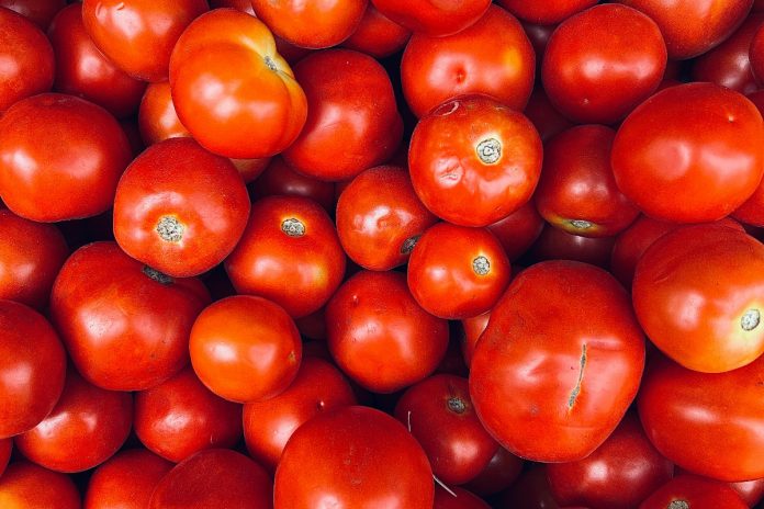 Tomato rates hit Rs500 per kg across Pakistan