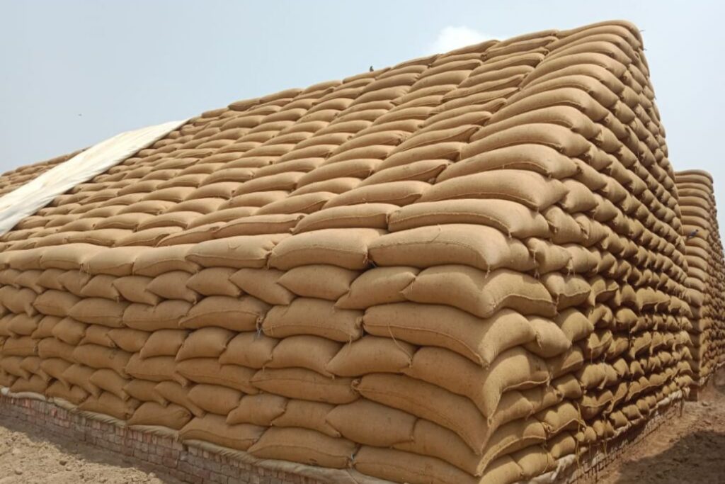 Sindh to buy wheat from PASSCO amid supply shortage