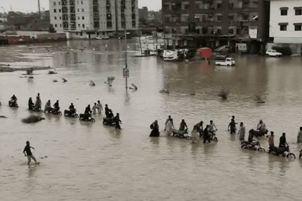 Pakistan at risk of Nepal-like climate disasters: OICCI