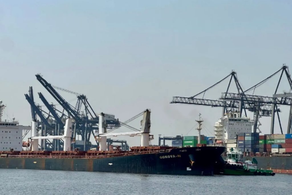 51,000 tonnes of wheat arrive at Karachi Port